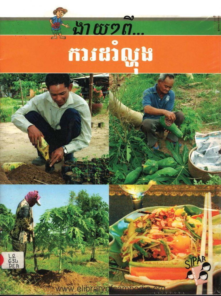 ងាយៗពី…ការដាំល្ហុង