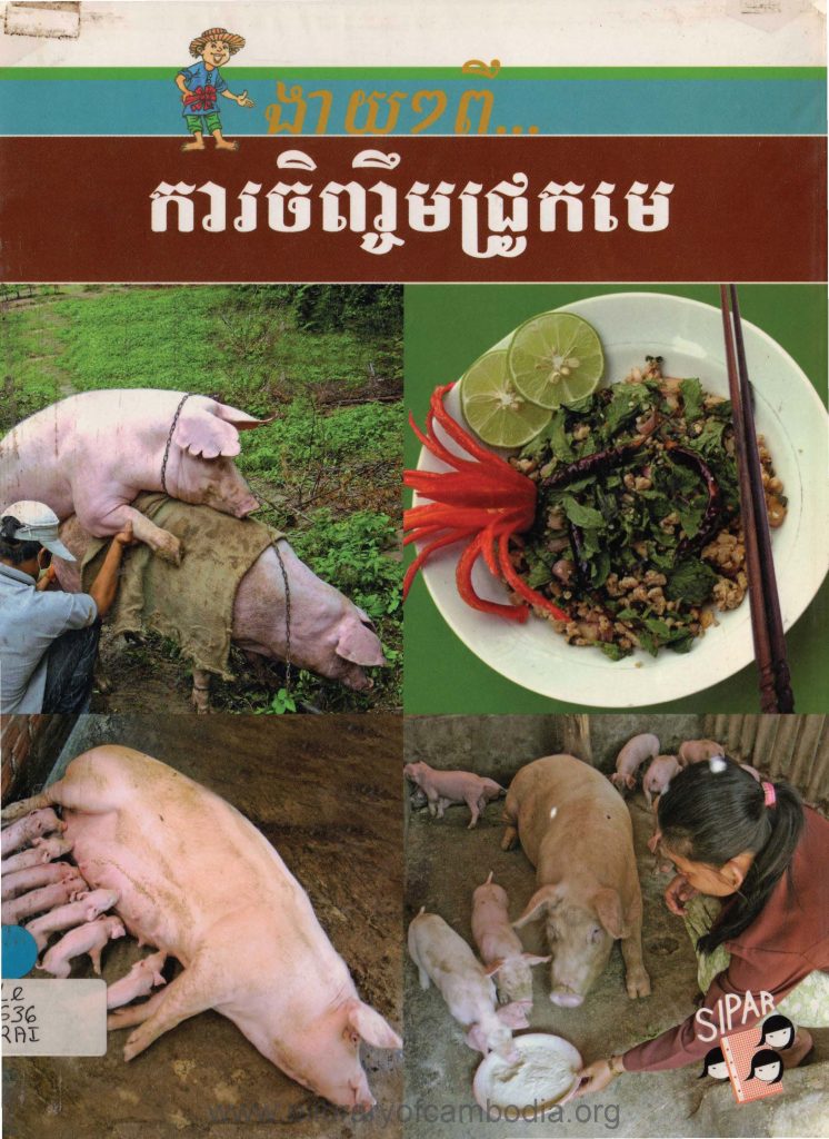 ការចិញ្ចឹមជ្រូកមេ